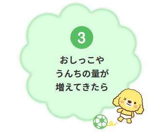 3 おしっこやうんちの量が増えてきたら